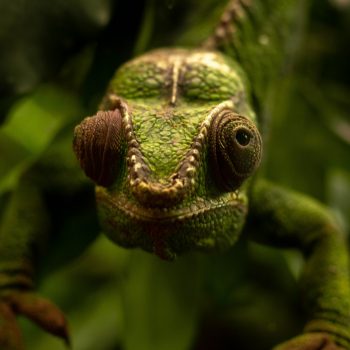 baptiste-gousset-QKu9gPZAZi0-unsplash