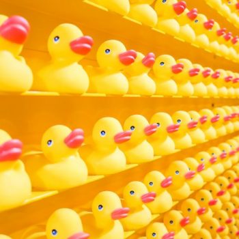 Compliance Dunks Thumbnail